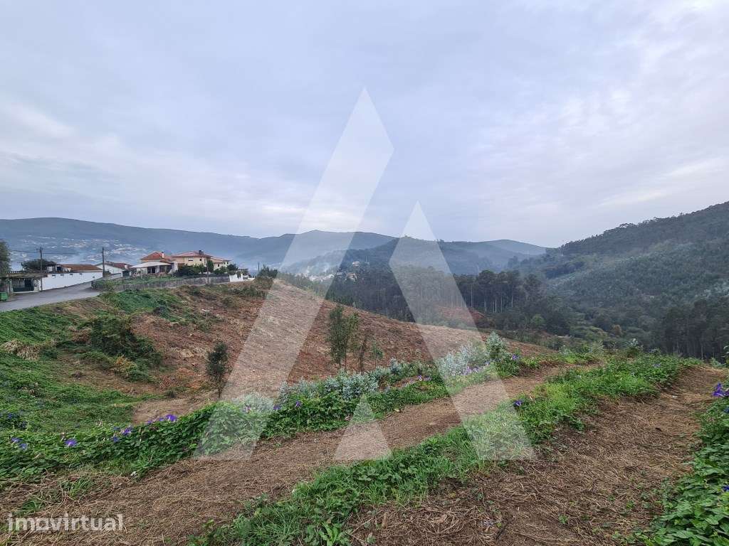 Terreno em Vale de Cambra - Grande imagem: 3/10
