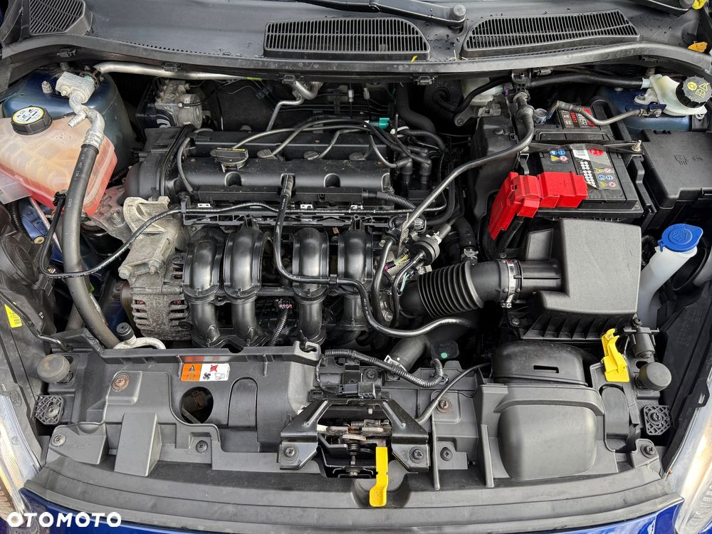 Ford Fiesta 1.25 Gold X - 18