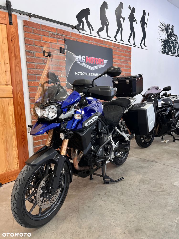 Triumph Tiger - 19