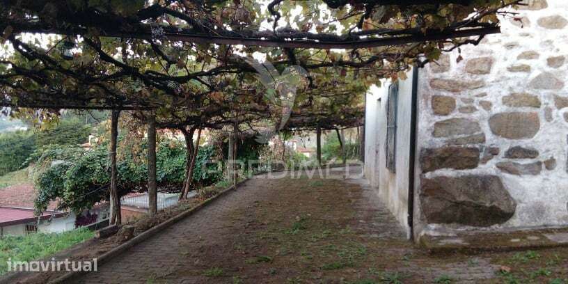 Quinta T3 em Roriz - Grande imagem: 3/30