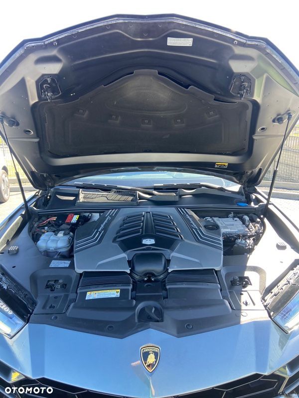 Lamborghini Urus Standard - 29