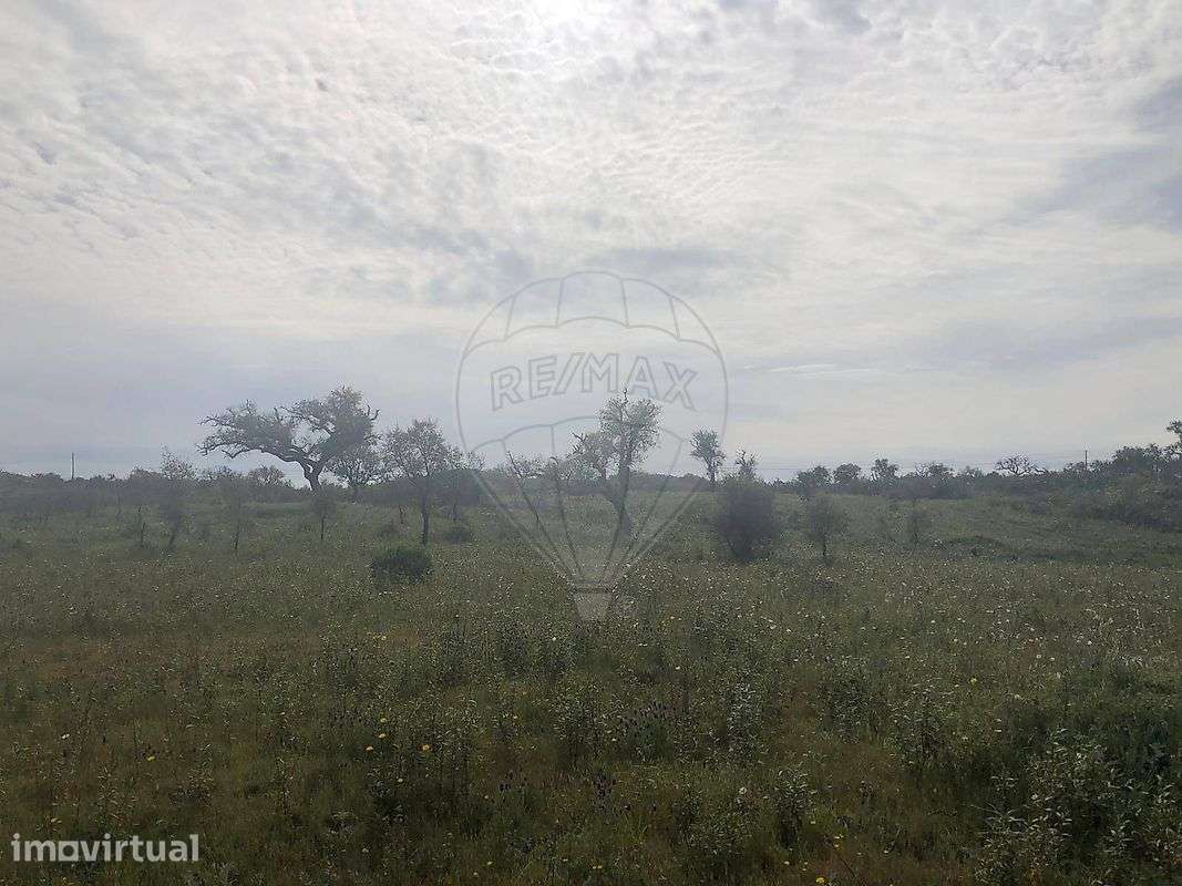Terreno  para venda - Grande imagem: 5/11