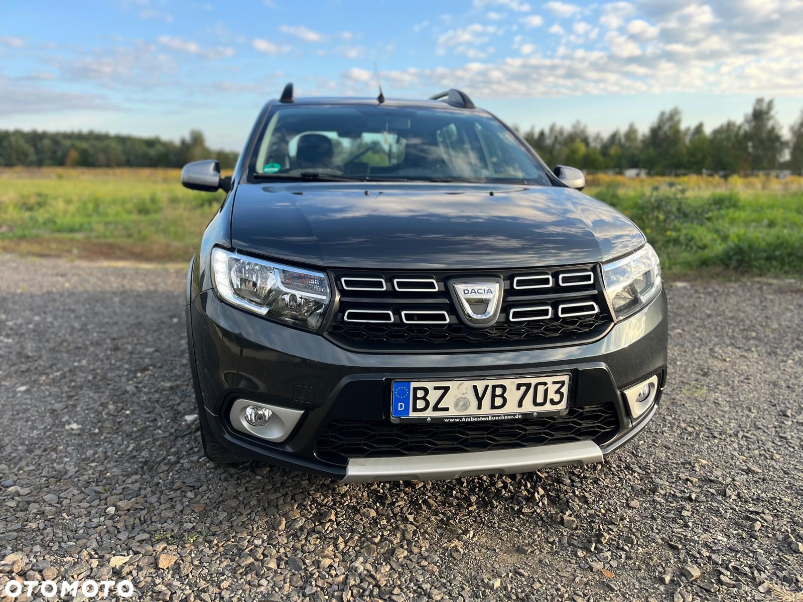 Dacia Sandero Stepway TCe 90 Prestige - 19