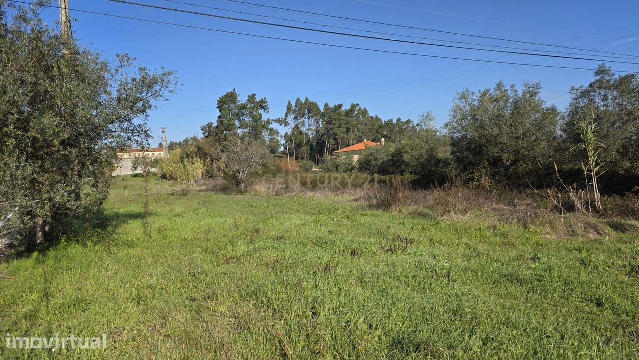 Terreno em Soure, Coimbra - Excelente oportunidade de négocio - Grande imagem: 4/14