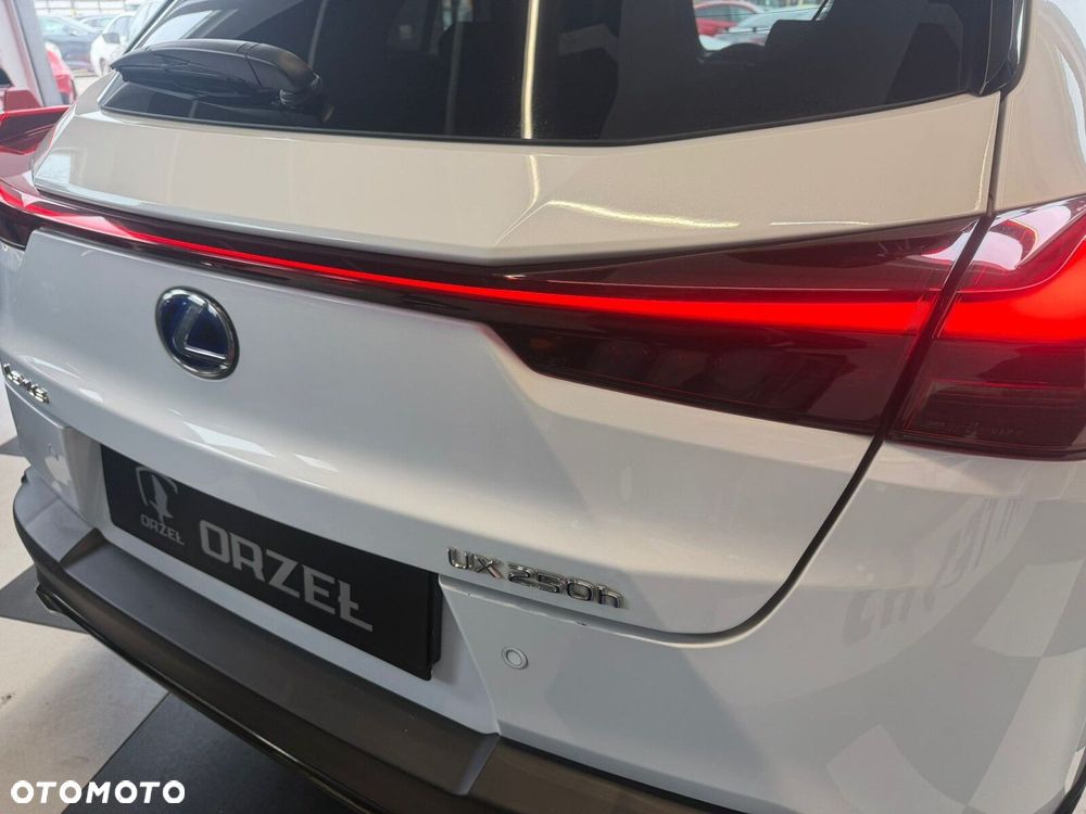 Lexus UX - 10