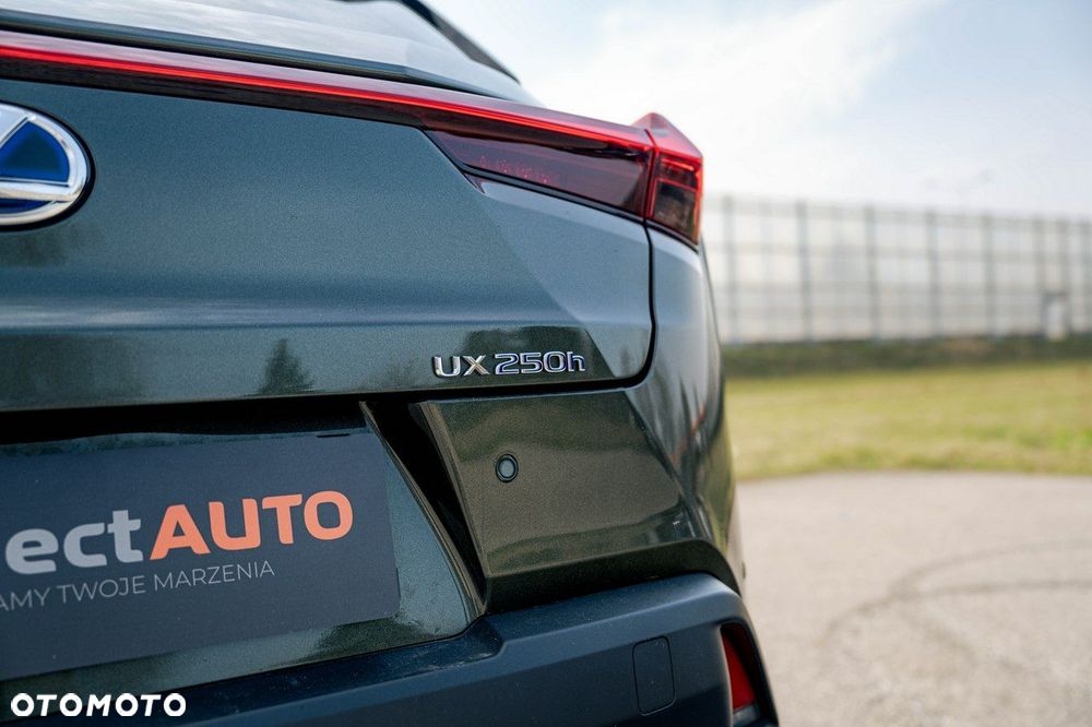 Lexus UX 250h GPF F Impression 2WD - 16