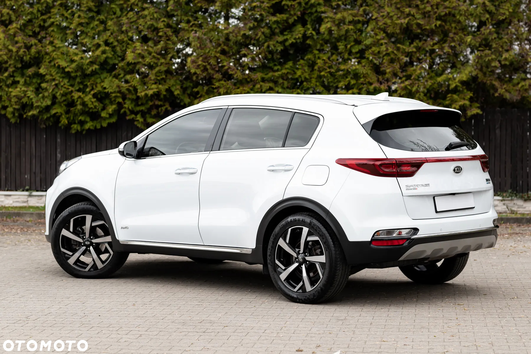Kia Sportage 1.6 CRDI AWD Eco-Dynamics+ (48V M-H) DCT Vision - 10