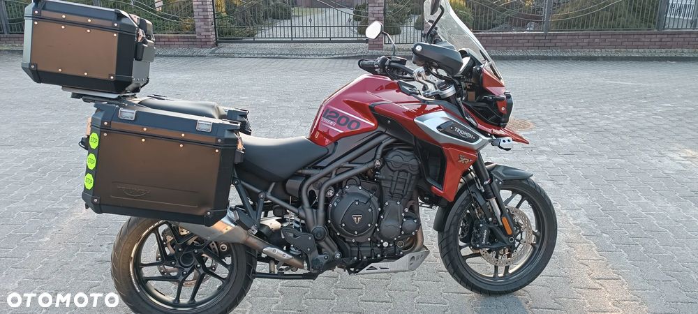 Triumph Tiger - 12