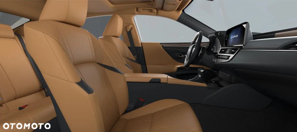 Lexus ES 300h Omotenashi - 3