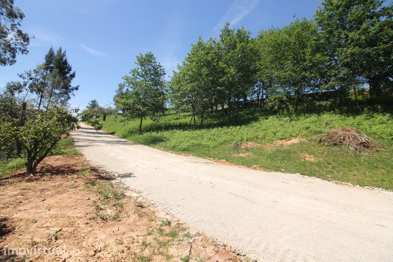 Terreno em Cervães para Investimento - Grande imagem: 2/35