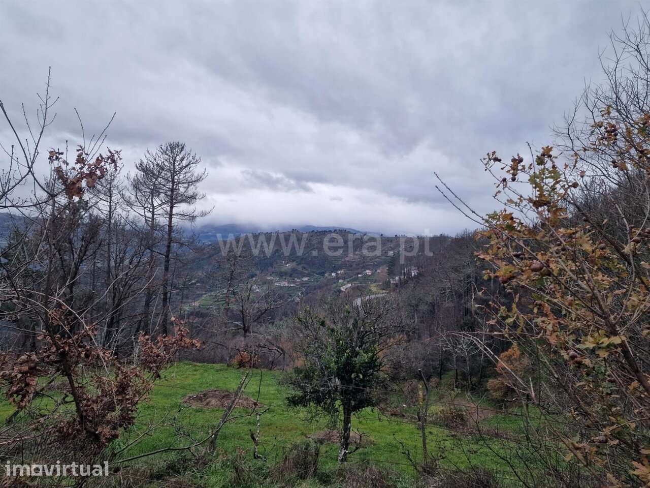Moradia T1 / Baião, Santa Cruz do Douro e São Tomé de Covelas - Grande imagem: 4/7
