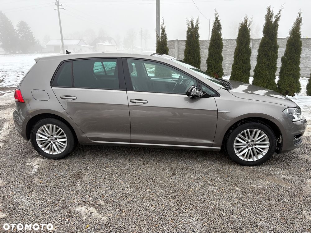 Volkswagen Golf 1.6 TDI BlueMotion Technology Cup - 10