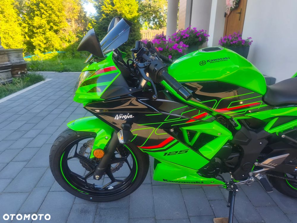Kawasaki Ninja - 15
