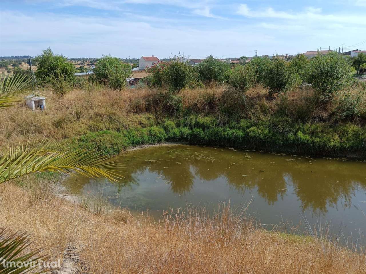 Quinta - Grande imagem: 2/12