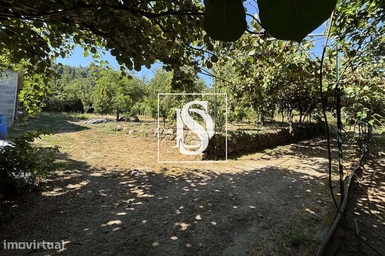 Terreno  Venda em Santiago de Besteiros,Tondela