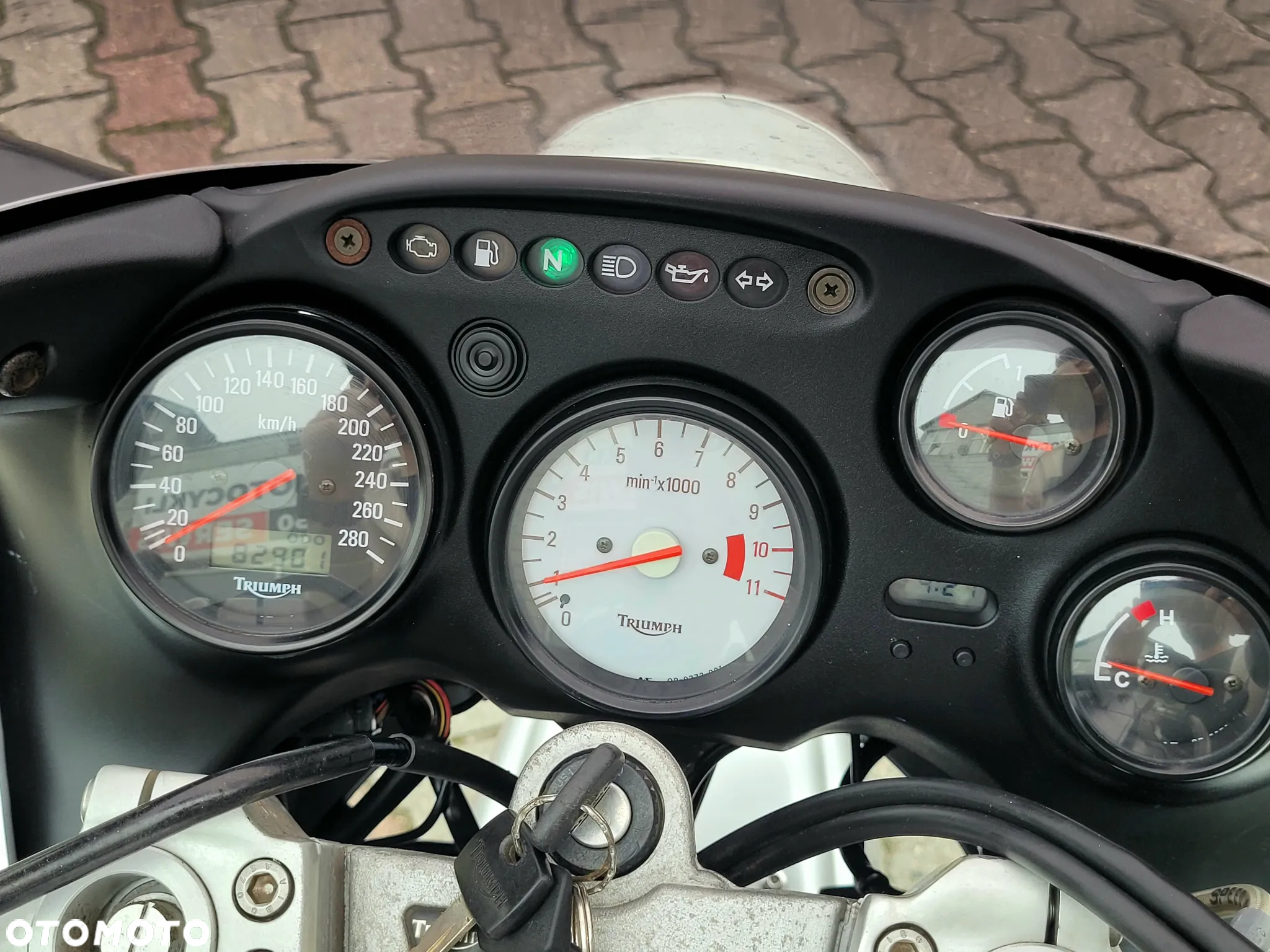 Triumph Sprint - 14