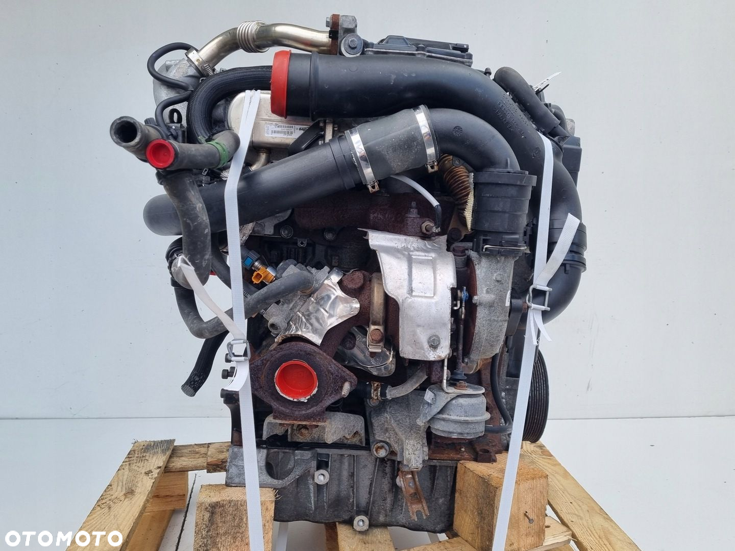SILNIK KOMPLET Renault Scenic III 1.9 DCI 131KM F9Q870 - 5