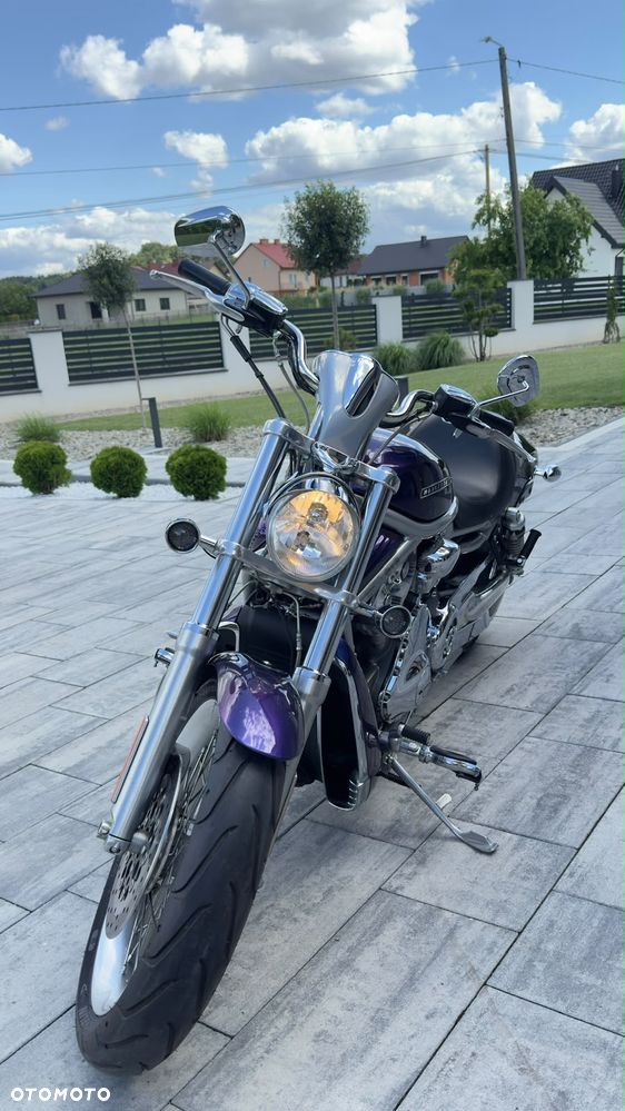 Harley-Davidson V-Rod Street Rod - 4