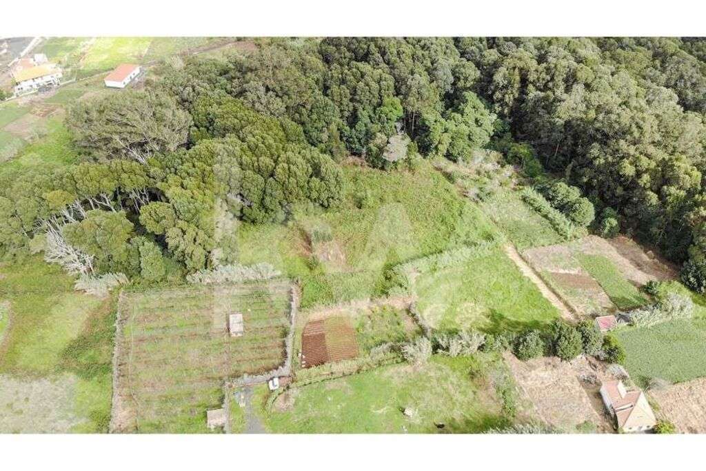 TERRENO PARA CONSTRUÇÃO E ECO-TURISMO | SANTA - PORTO MONIZ - ILHA DA - Grande imagem: 5/11