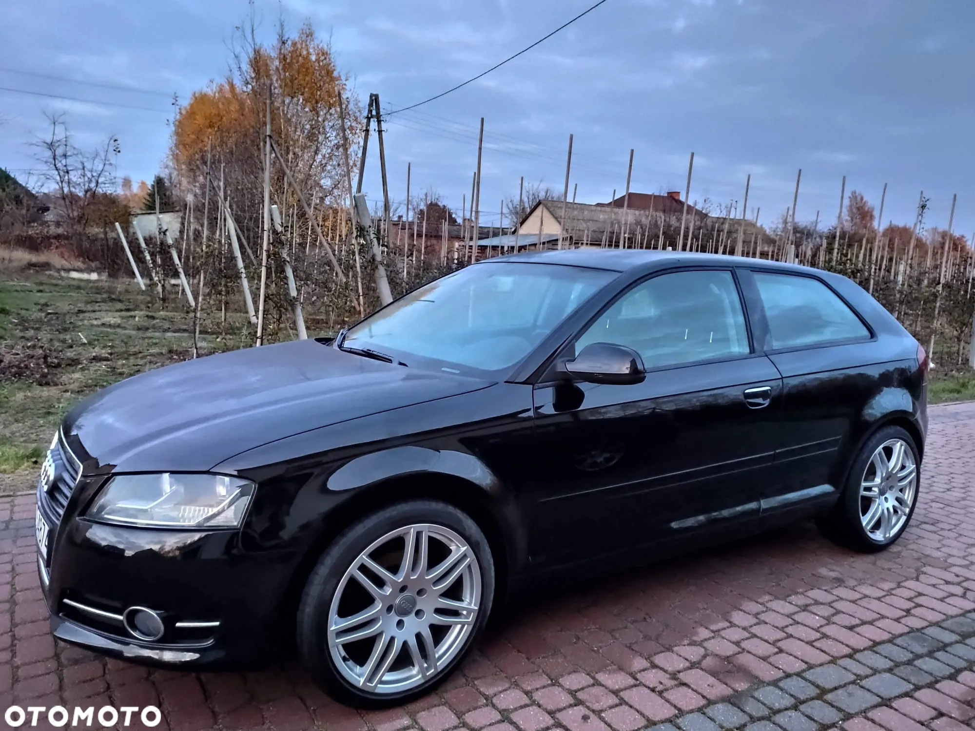 Audi A3 1.6 TDI DPF Attraction - 8