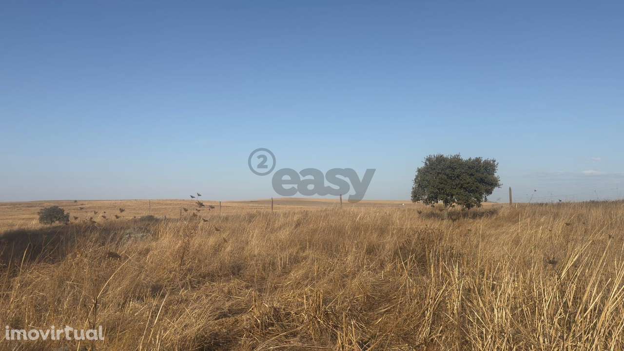 Terreno rústico com 4.5ha, Casével, Castro Verde - Grande imagem: 4/24