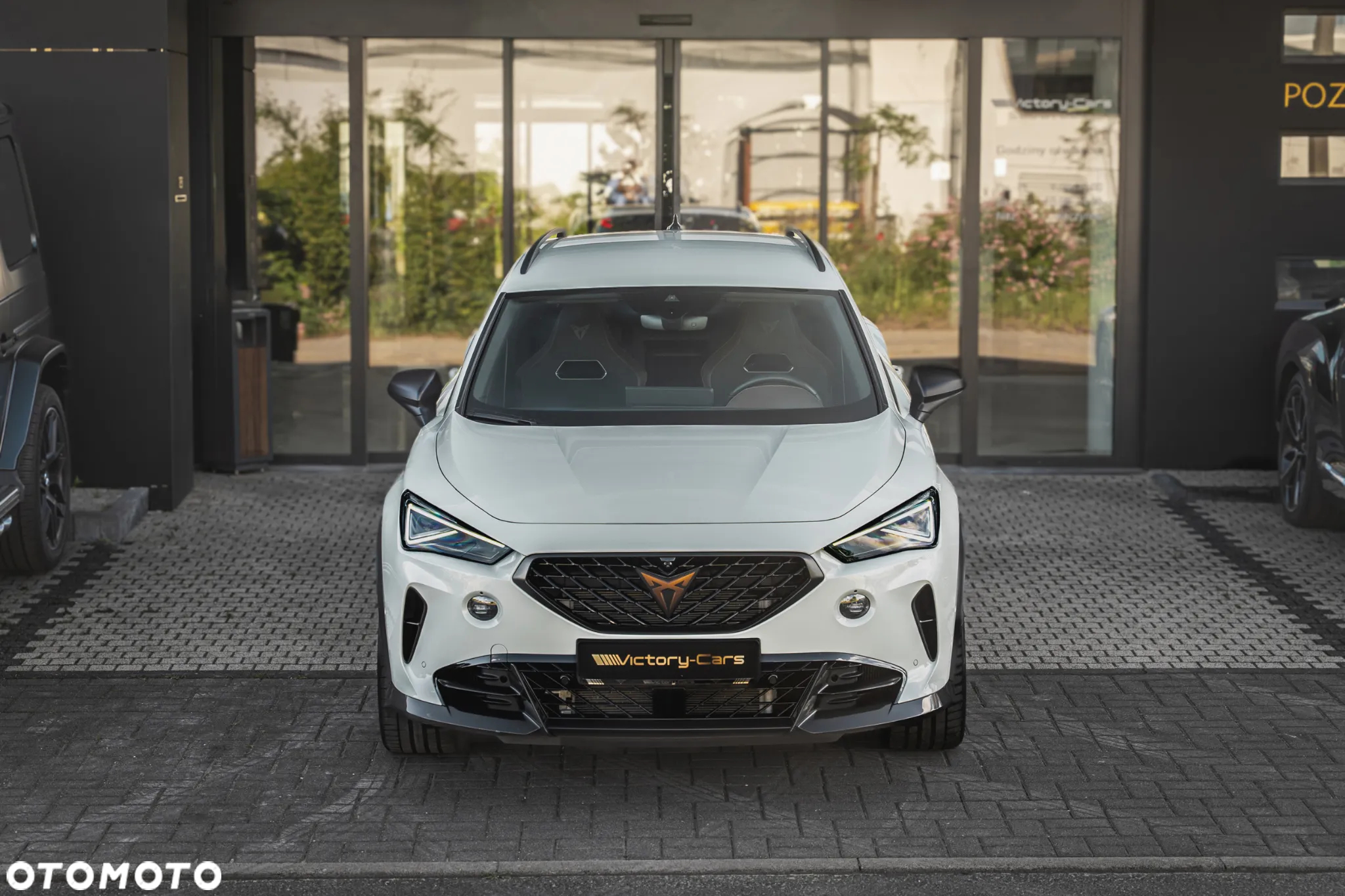 Cupra Formentor 2.5 TSI 4Drive VZ5 Taiga Grey DSG - 6