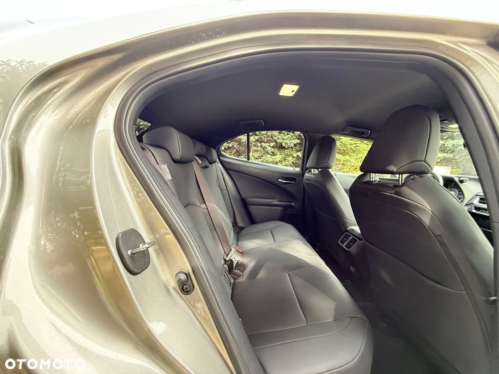 Lexus UX 250h GPF F Sport Design 2WD - 30