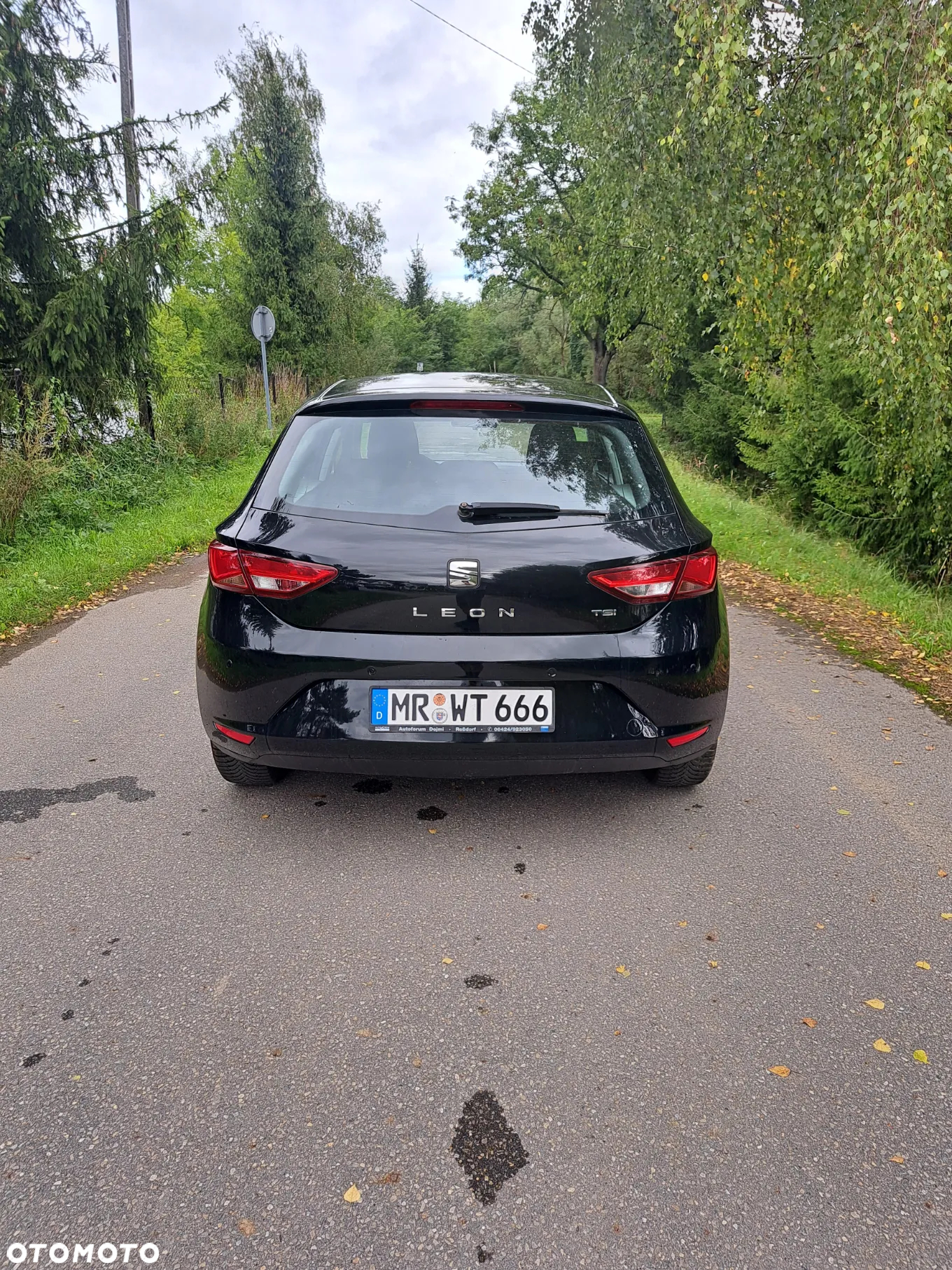 Seat Leon - 15