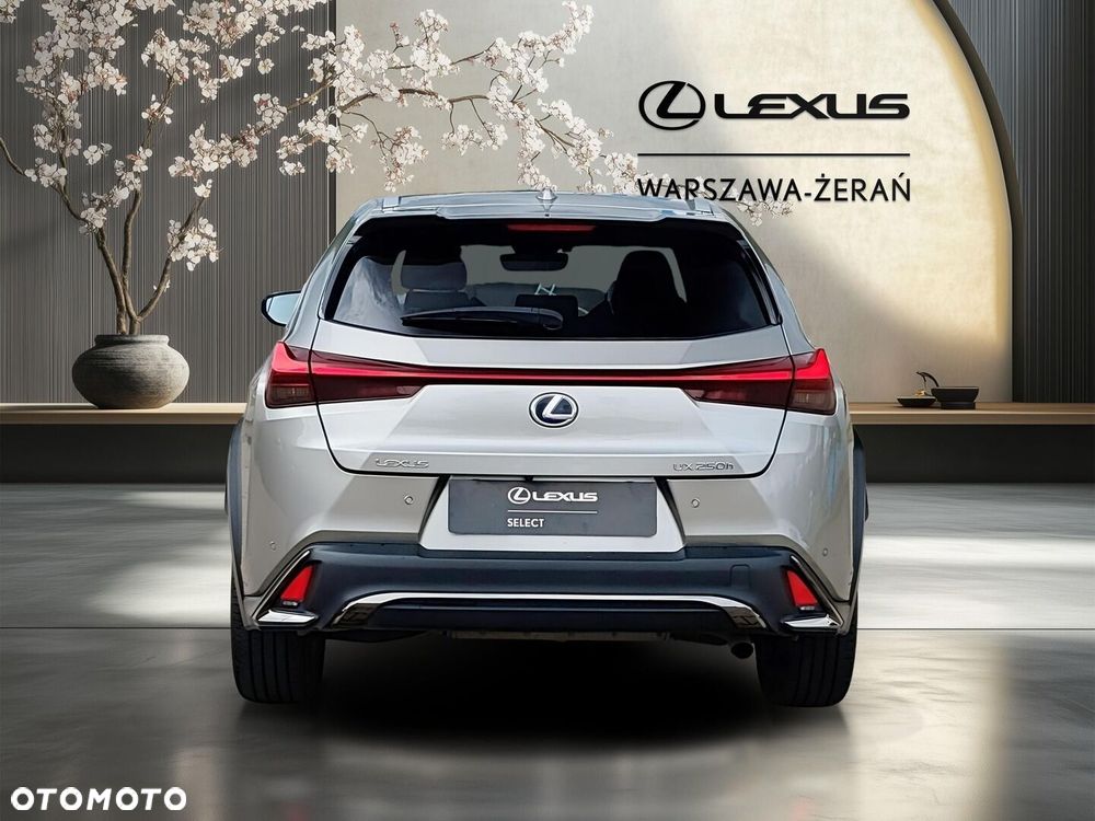 Lexus UX 250h GPF F Sport Edition 2WD - 6