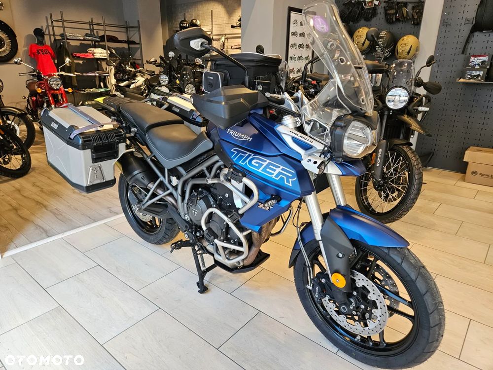 Triumph Tiger - 1