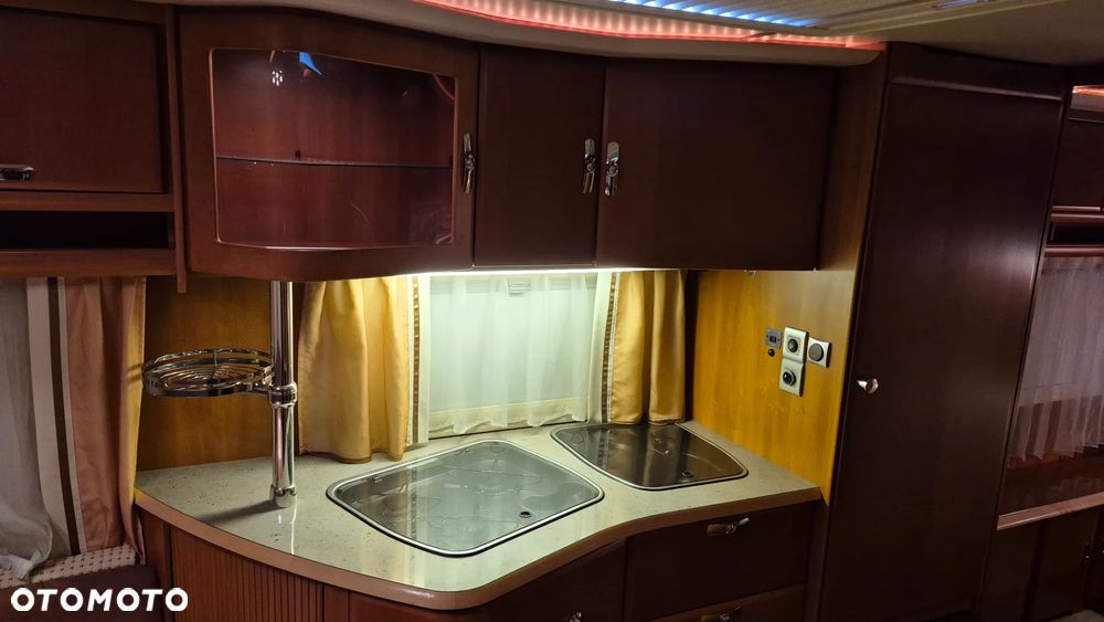 Tabbert Puccini - 12