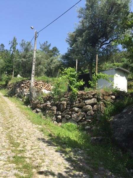 Terreno 700m² para construção e 5000m² Vilar de ferreiros mondim basto - Grande imagem: 4/4