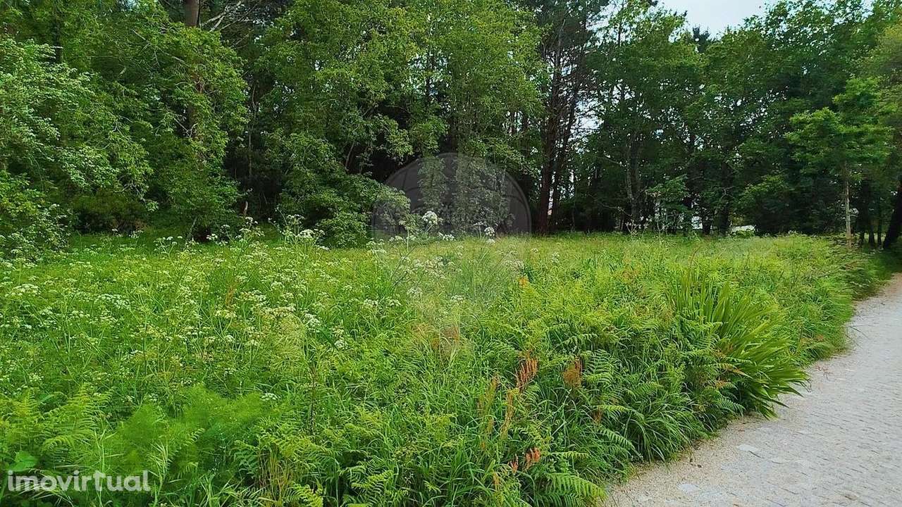 Terreno  para venda - Grande imagem: 5/16