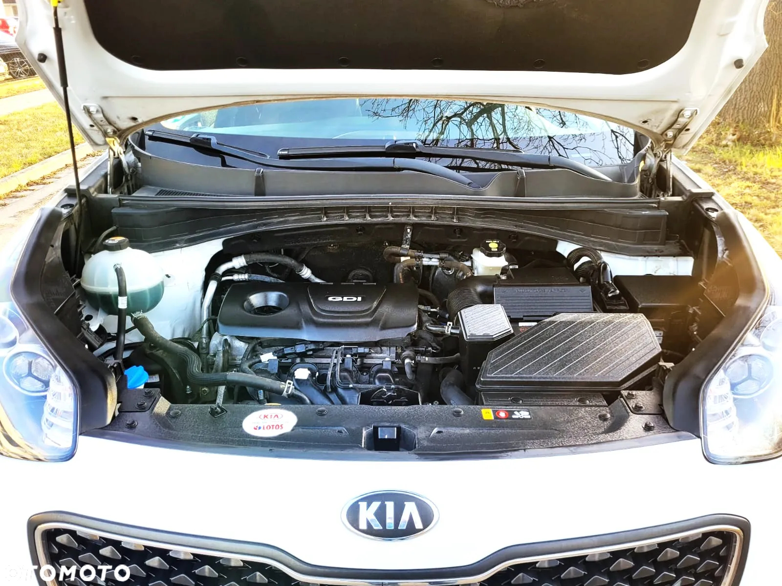 Kia Sportage - 33