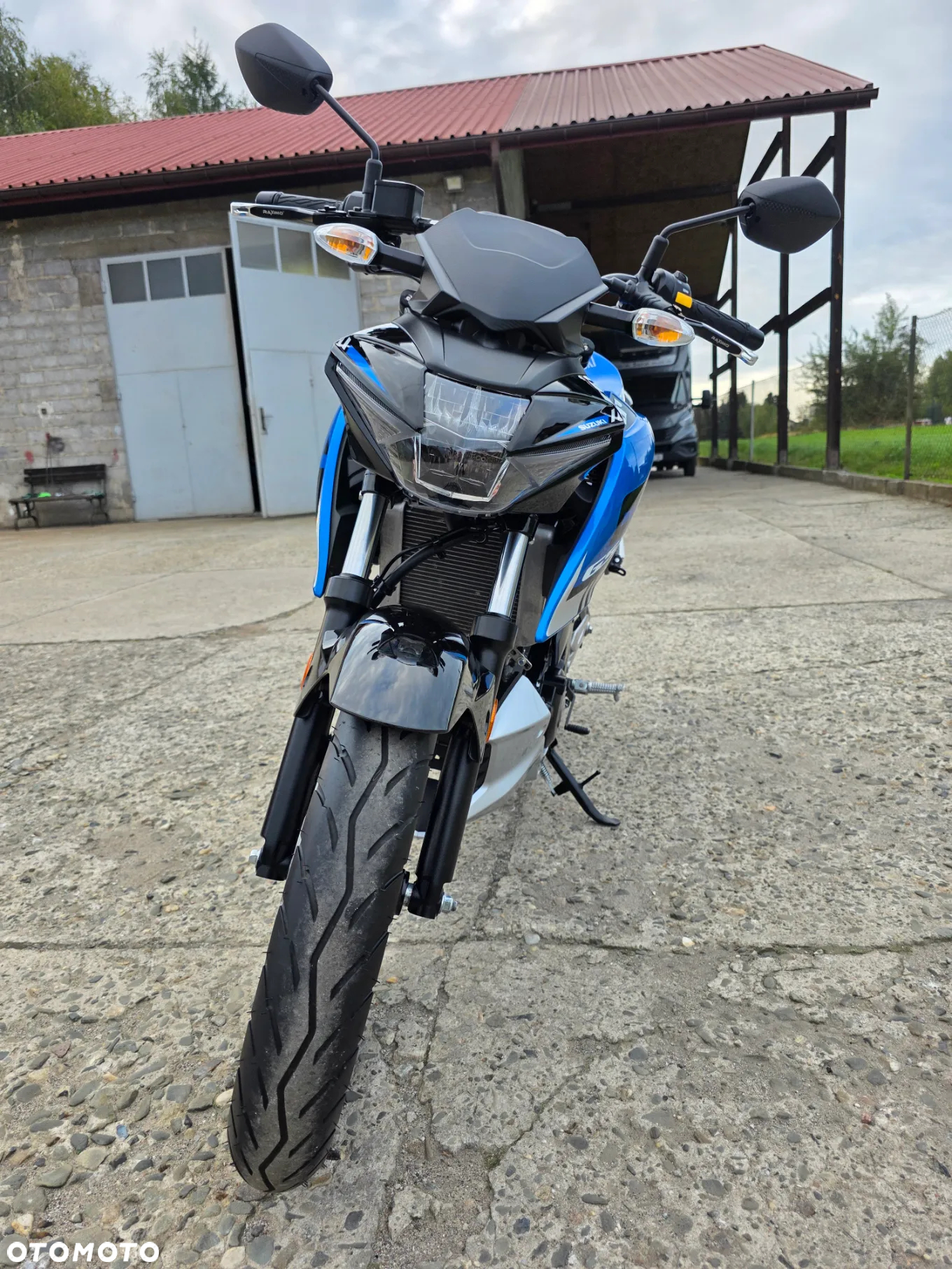 Suzuki GSX - 13