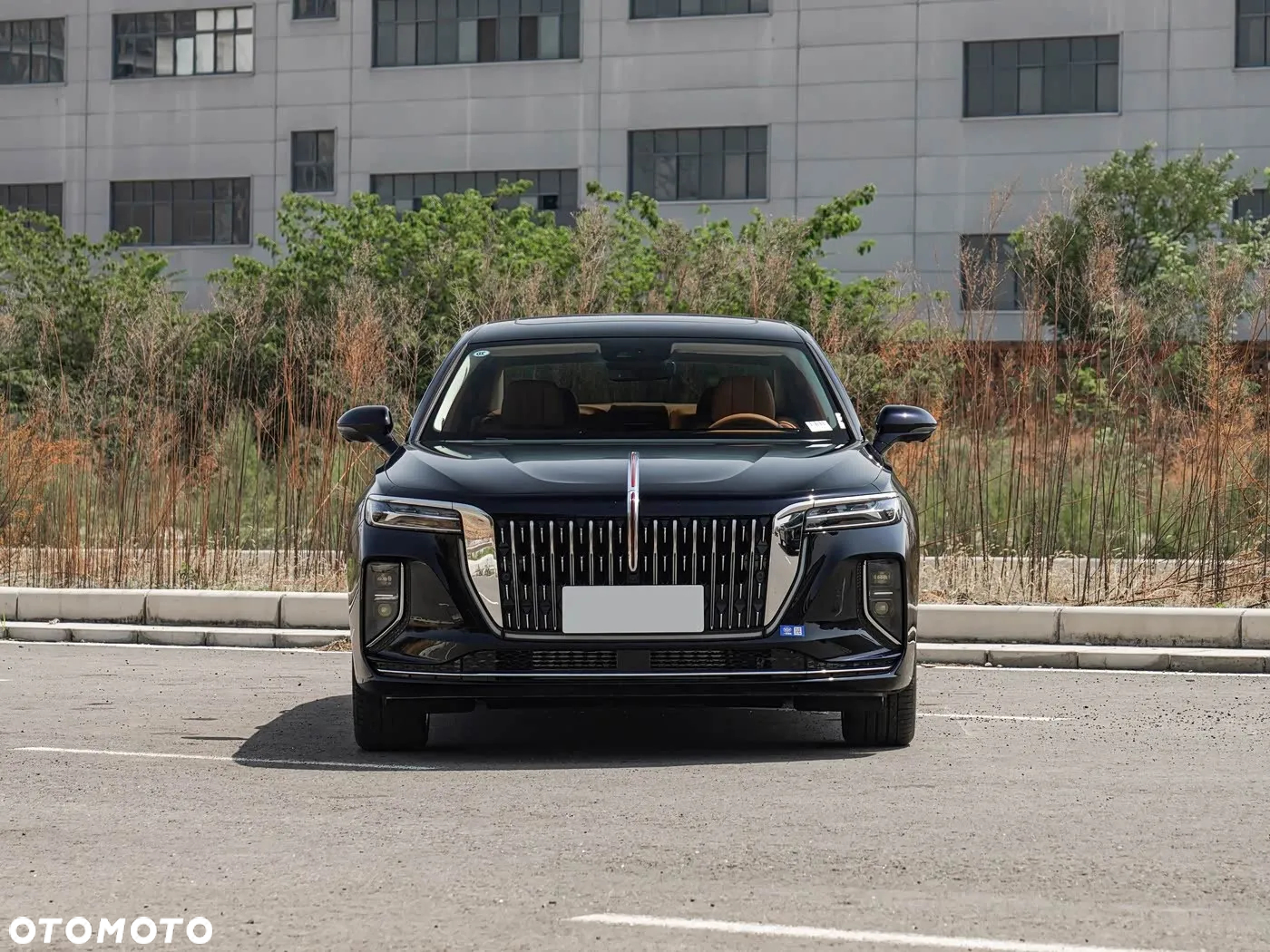 Hongqi H9 Standard - 3