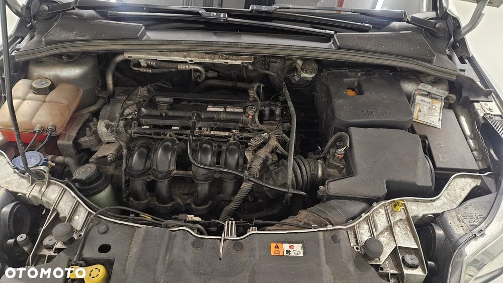 Ford Focus - 8