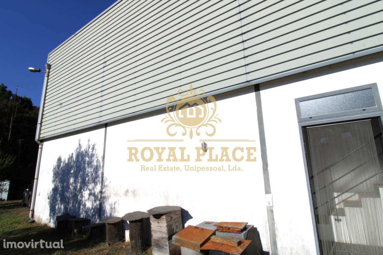 Armazém industrial em Ossela, Oliveira de Azeméis - Grande imagem: 4/26