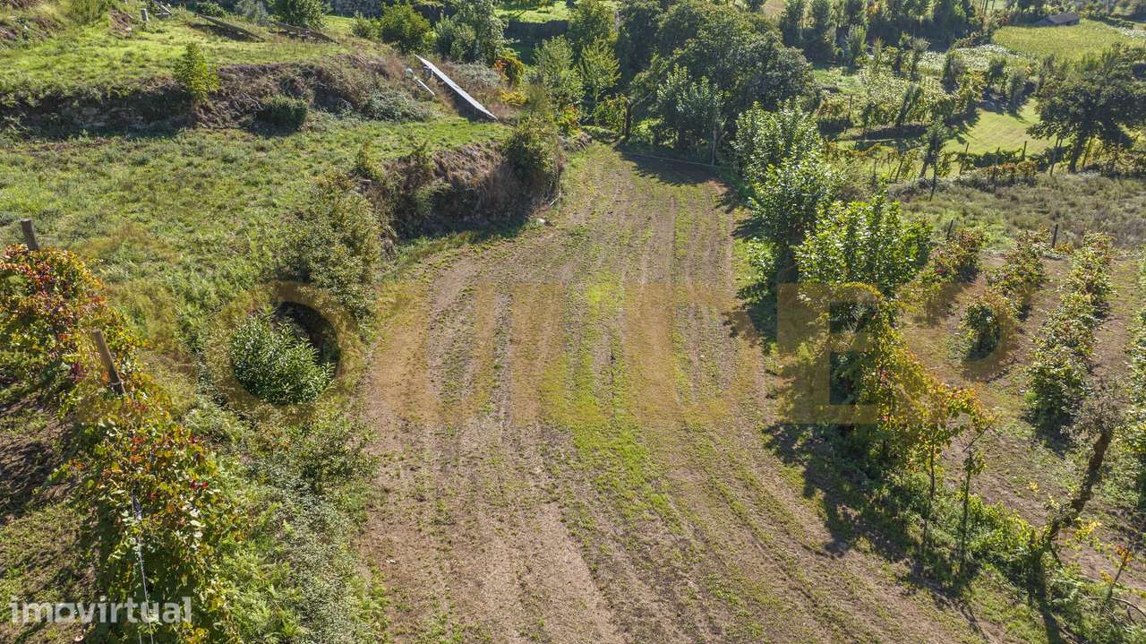 Terreno com vinha em Brunhais, Póvoa de Lanhoso - Grande imagem: 4/26