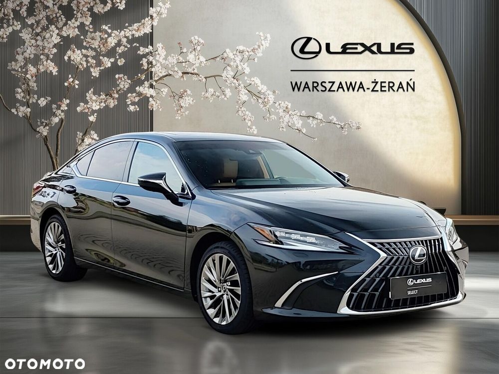 Lexus ES 300h Omotenashi - 9