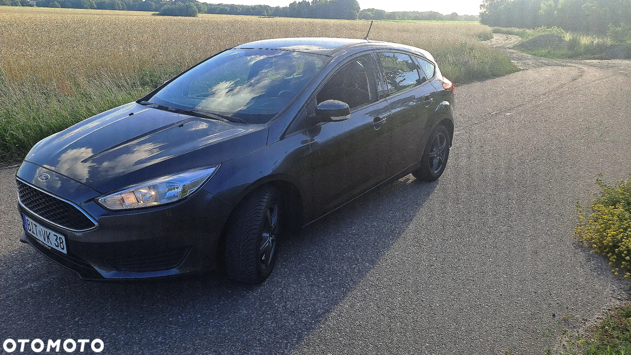 Ford Focus 1.6 Trend - 5