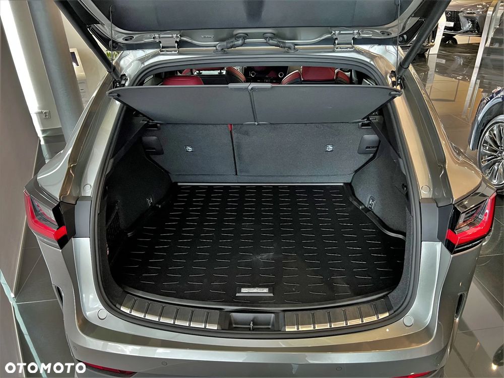 Lexus NX - 11