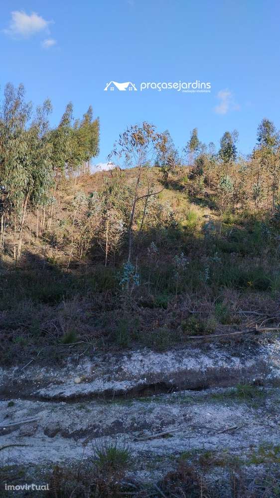 Terreno rustico - Grande imagem: 3/9