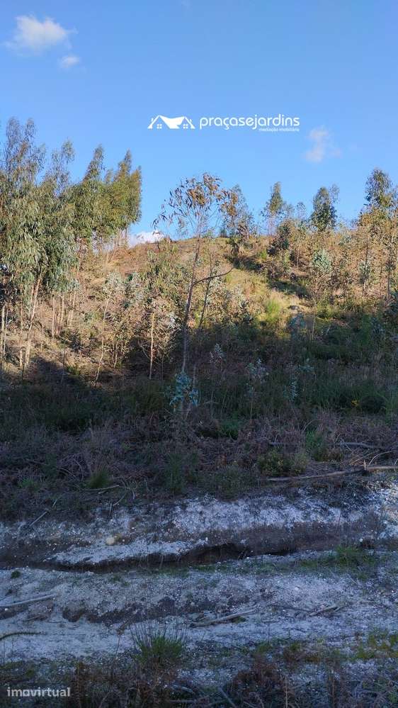 Terreno rustico - Grande imagem: 3/9