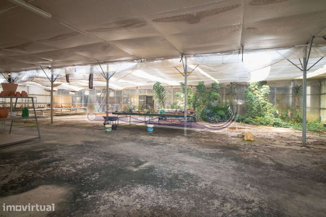 Terreno em Santo Estevão (STE077) - Grande imagem: 5/18