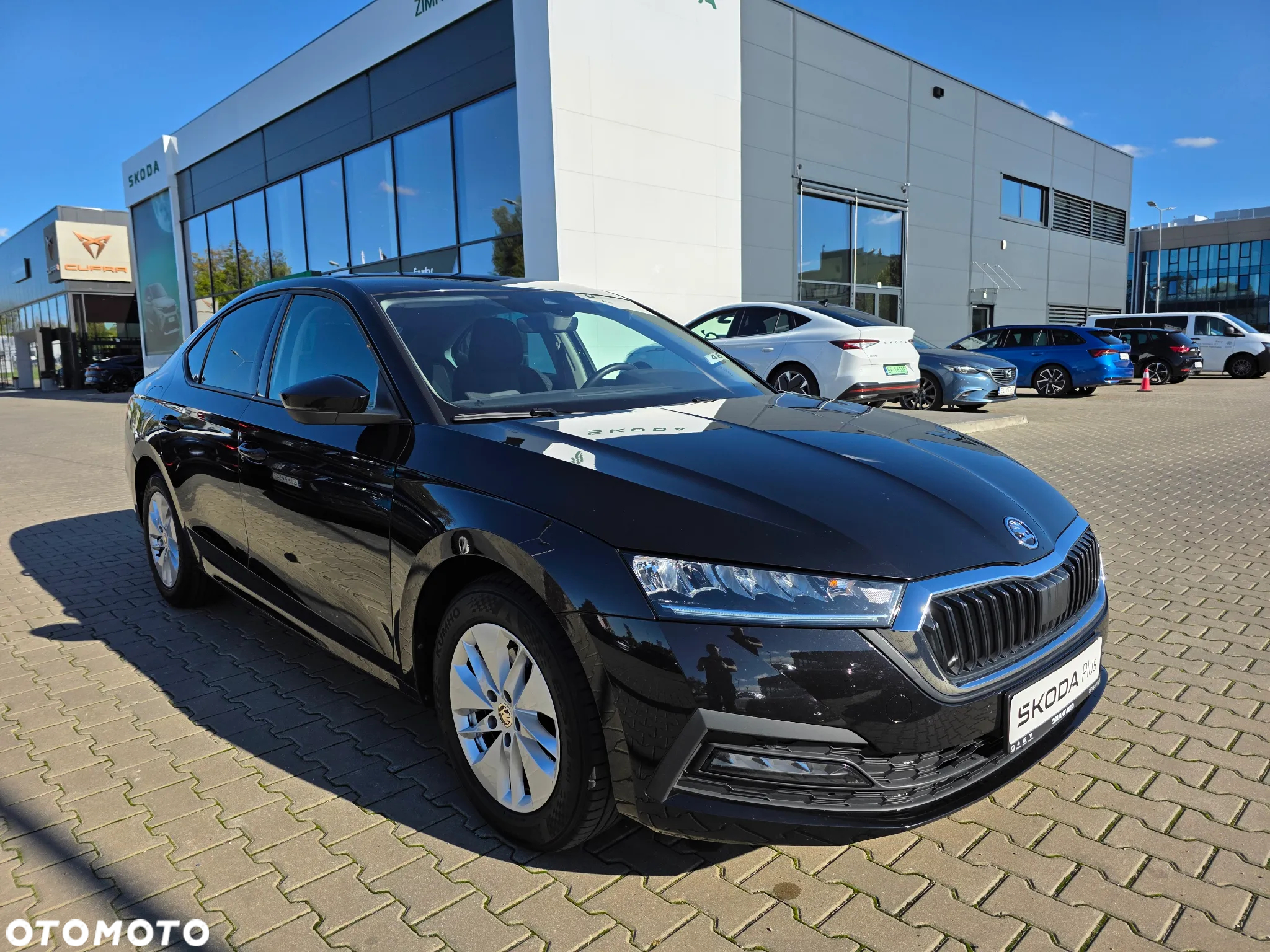 Skoda Octavia - 8