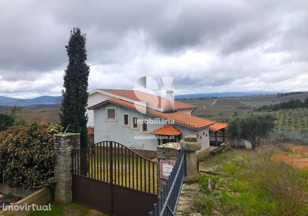 Quintinha T5 - Grande imagem: 4/46