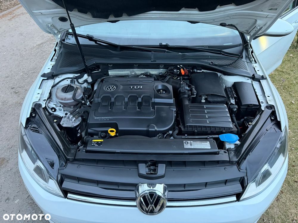 Volkswagen Golf 1.6 TDI BlueMotion Technology DSG Comfortline - 12