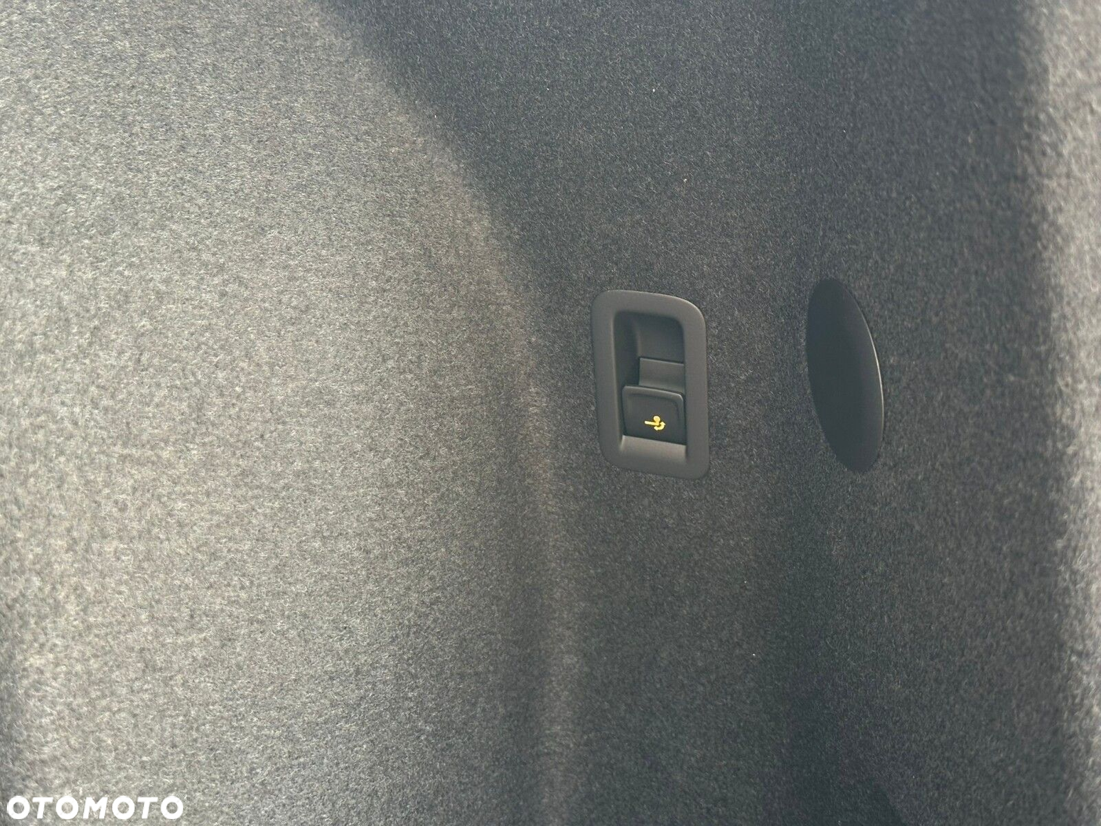 Cupra Terramar - 28