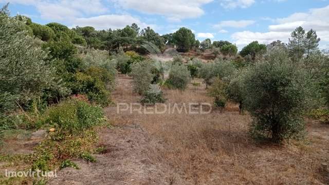 Ruína localizada na Barragem de Montargil - Grande imagem: 2/14